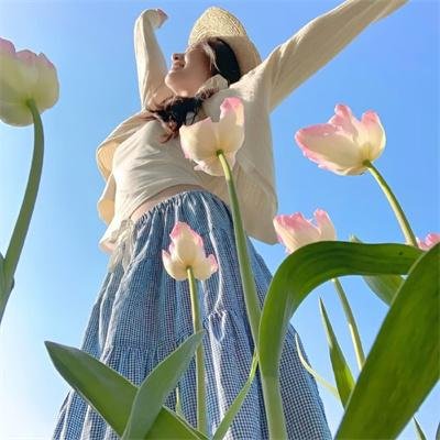做一只鸟真不容易海报